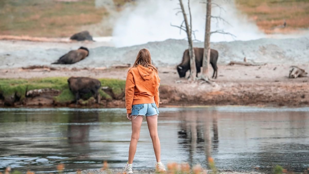 Yellowstone National Park, USA. September 16, 2022. Rear view of woman looking at bison while standing on lakeshore. Tourist exploring forest at famous Yellowstone national park.