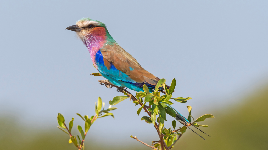 12 National Parks That Do NOT Get Better After Labor Day