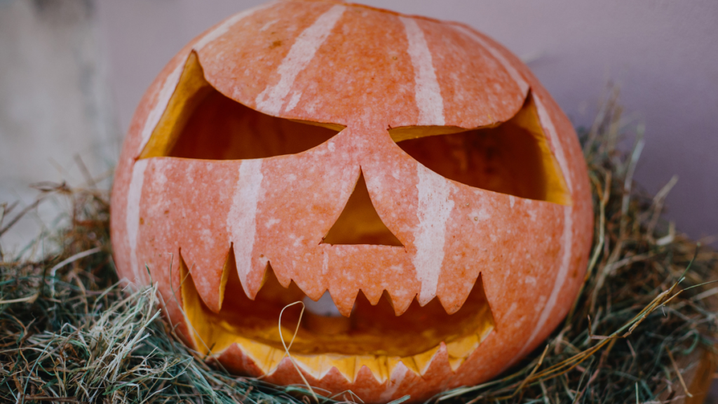 Fall in the Texas Hill Country– 12 Great Places to Go